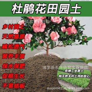 ���N��������@�������S���N�仨����ͨ��ɳ���N�����ЙC���Nֲ��