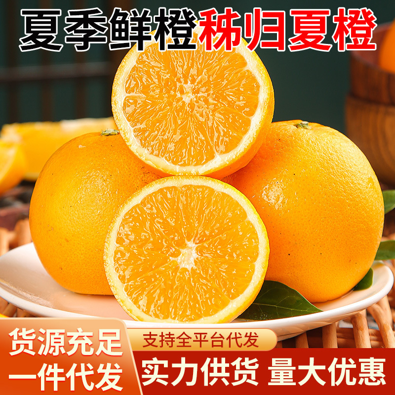 Hubei Zigui Summer Oranges, Fresh Seasonal Fruit, High Mountain Oranges, Freshly Picked and Shipped, Wholesale Direct from the Farm
