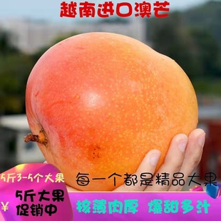 ��â10�����䮔�����rˮ�����]�O��â�Ǵ���Sâ��5��������