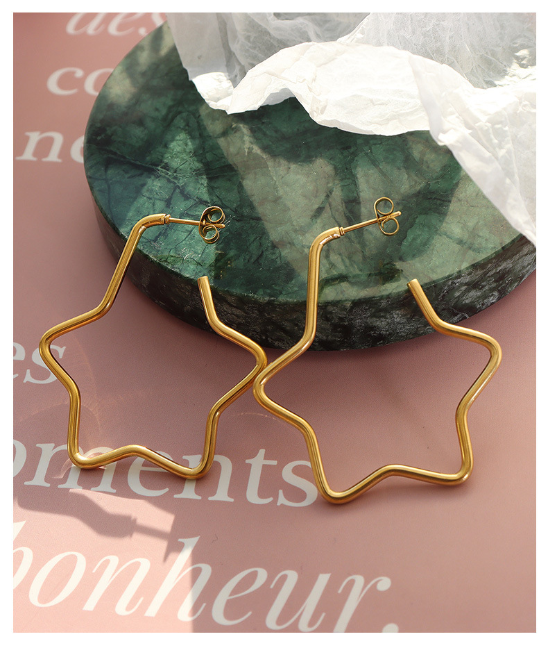 Fashion star titanium steel earrings