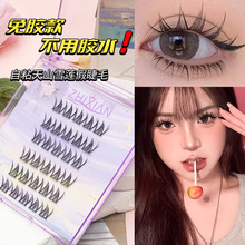 致娴免胶免卸天山雪假睫毛莲猫精灵女团单簇超细梗轻盈假眼睫毛
