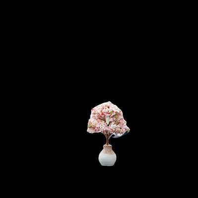 Car ornaments — ornaments