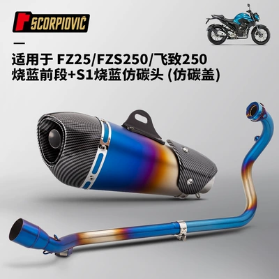 Exhaust Pipe Tail Muffler | Motorcycle exhaust pipe - feizhi-250-blued-front-section-s1-blued-imitation-carbon-head-imitation-carbon-cover