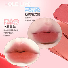 hold live輕裸水霧唇釉持久不易沾杯啞光口紅絲絨唇露霧面女批發