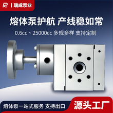 圆丝扁丝挤出机熔体泵精准计量高精度齿轮泵瑞成双螺杆熔体泵厂家