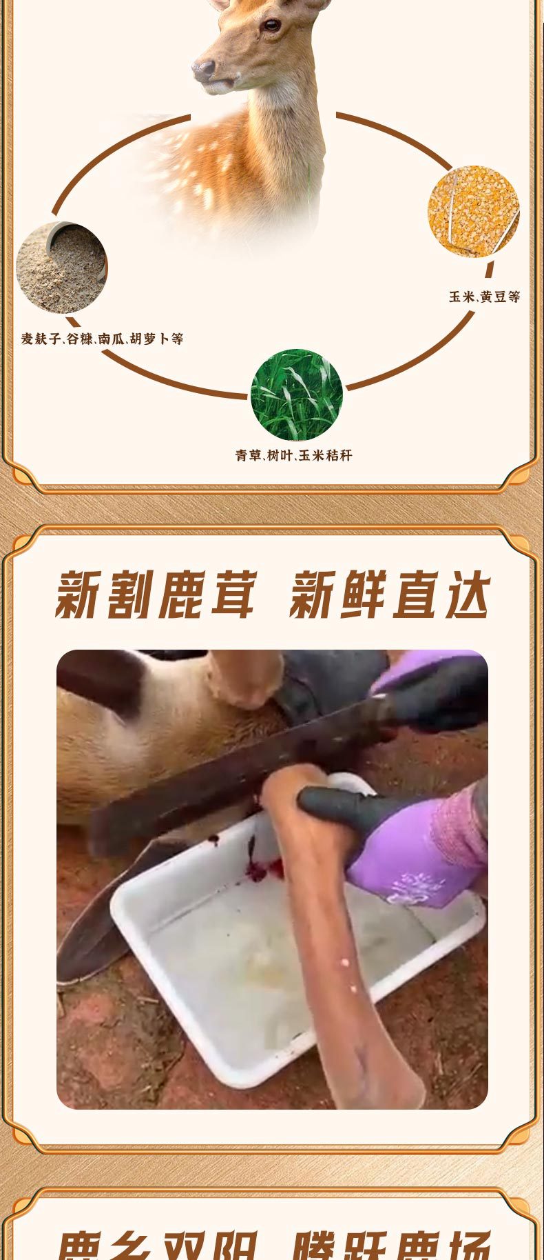 微信图片_20230324091429_05