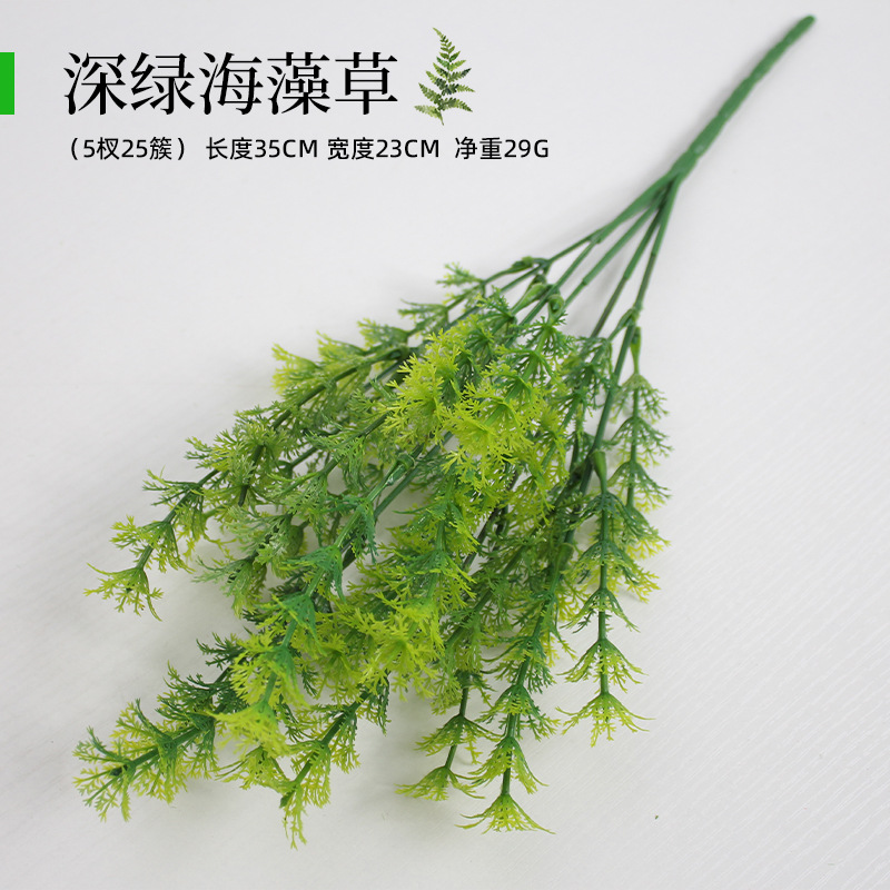 Hierba de alga verde oscuro