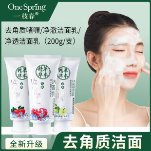 Spring Pomegranate Cleanser Hydrating Moisturizing Deep Cleansing Exfoliating Facial Cleanser Cosmetics for Men and Women