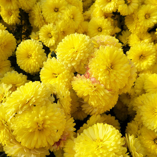 30g��z�ʾՑѸ�ؕ�ս��S͸�����ں��Ͻ����Ѿջ�Դ�^ �S�����l