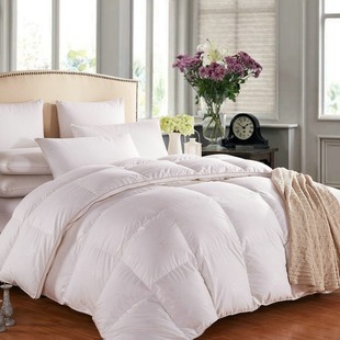 Swiss Hilton&Resorts Hotel Duvet 95 White Goose down Thickeneded Winter Quilt Two-In-One Spring & Fall Quilt
