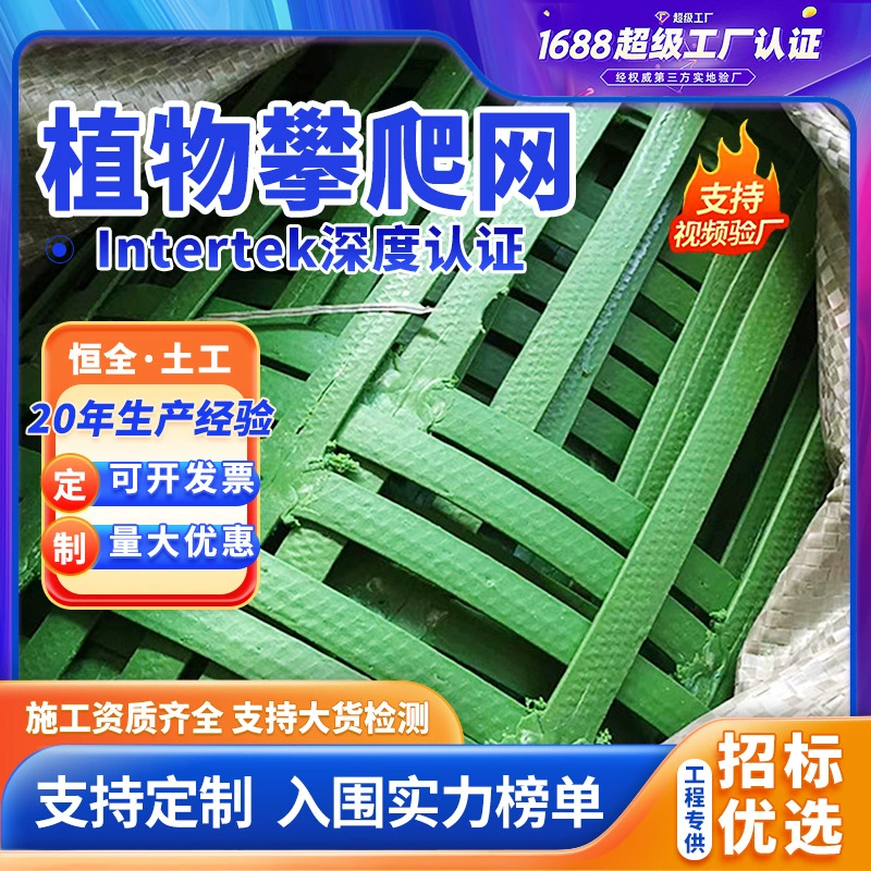 Зеленая стальная-пластиковая георешетка для растений, двухсторонняя композитная сетка для лазания, производитель, продажа, индивидуальный заказ в Anying