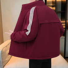 2024¿ӽqпqL\en泱Ƴ