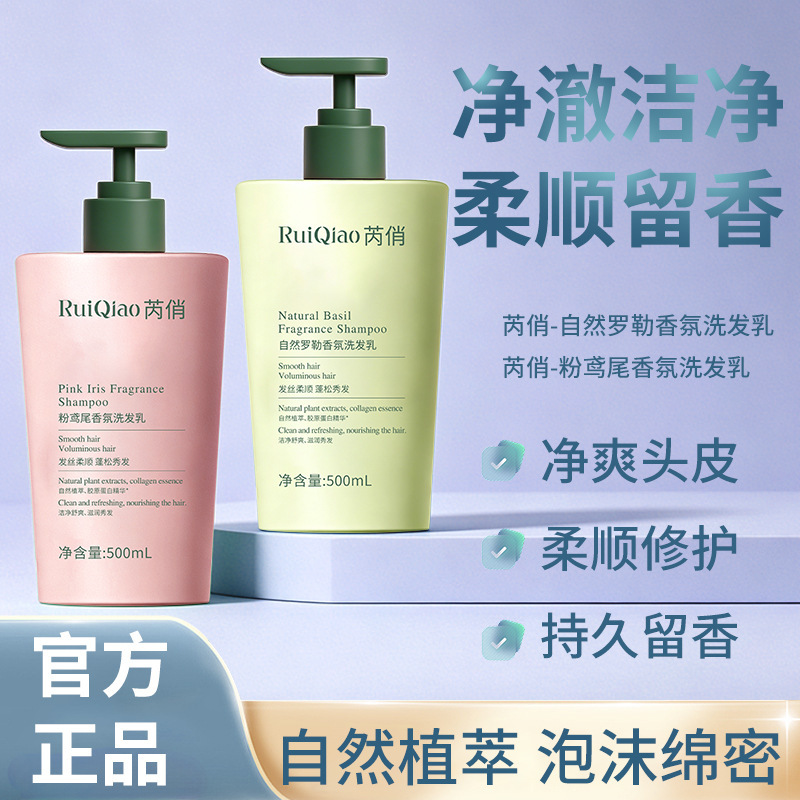 Shampoo natural de aroma de albahaca, control de aceite, champú esponjoso, limpio, suave, fabricante de champú perfumado duradero