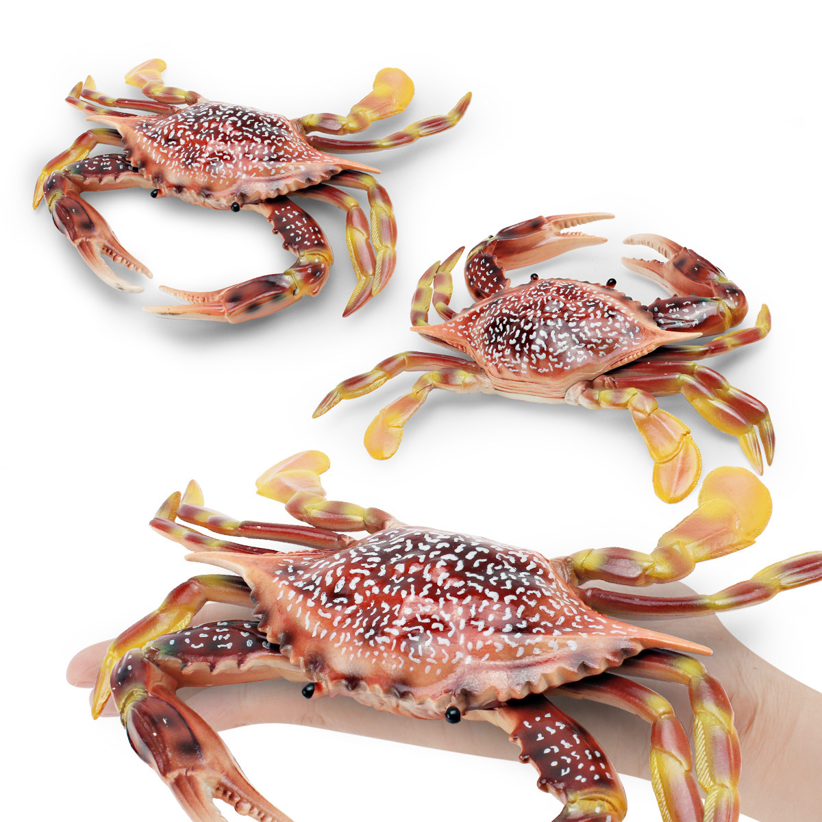 Amazon simulación animal marino cangrejo modelo pan cangrejo de tres ojos natación cangrejo decoración de escritorio adornos estáticos