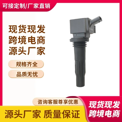 In-Stock F01R00A113, 10239858, F 01R 00A 113 Ignition Coil Suitable for Roewe Mg (Alovlanma bobini (Babinalar))