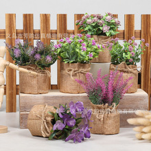 �F؛������滨�辰�羳�¿�������ԼҾ�����[������ֲ�����컨