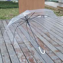 创意小清新长柄透明伞彩色直杆透明雨伞自动批发 logo广告礼品伞