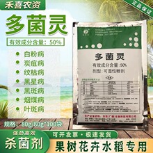 50%多菌灵果树水稻花卉杀菌剂赤霉病纹枯病菌核病植物专用农药