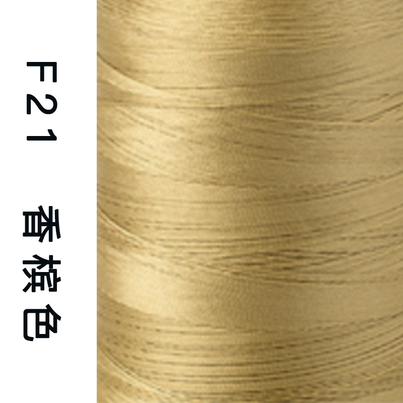 F021 샴페인 컬러