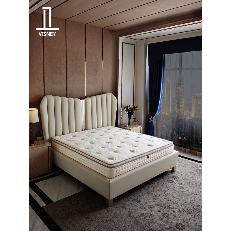 Visney Spring Mattress Simmons Soft and Hard Dual-Use 25cm Spine Protection Bed High Density Sponge Mattress S1