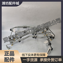 1007783584�߉��͹�Baudouin���Ű��l�әC8M33���͙C�H����Ʒ���