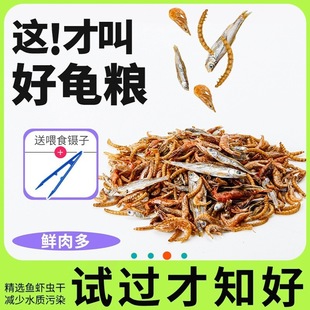 Turtle Freshwater Brazilian High Protein Turtle Food Fish Dried Shrimp Dried Turtle Feed Food Household General Purpose Calcium Supplement