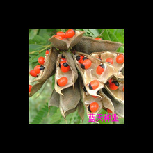 �uĸ�� �t���N�� ���t���N�� ��˼��N�� ��ȸ�� �G����ľ��N��