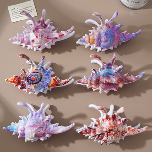 ���R�d���N ������ɫŮ�������������ͺ��X��ץ�A �m�Ϻ�߅�ȼ�