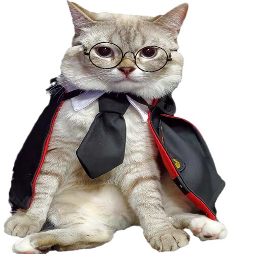 Pet Harry Potter magic cloak Internet celebrity cloak embroidered spring and autumn clothing dog shawl cat COS clothing trendy