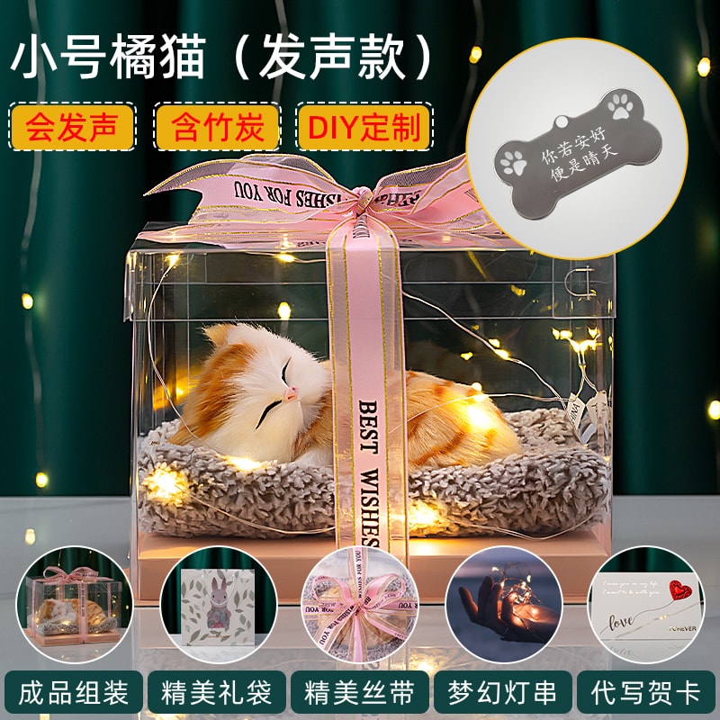 Small orange cat can speak+blessings engraving