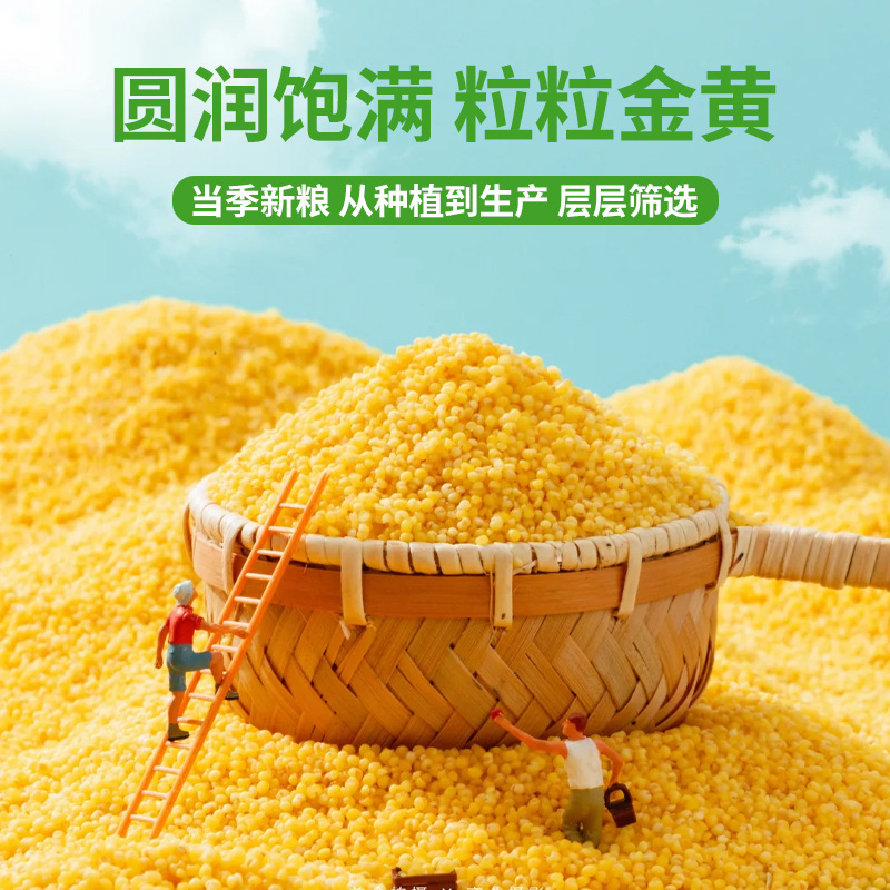 【工厂】批发绿之坊新米敖汉黄小米赤峰农家自产五谷杂粮主食煮粥