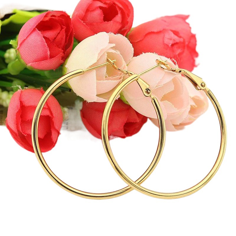 Moda europea y americana personalizada pendientes grandes populares exageradas de acero de titanio ronda círculo pendientes hembra INS pendientes joyería transfronteriza