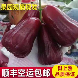 ���������ڽ���ɏ�F���r������Fժ�F�l�ش��5��18���ԃ���S��