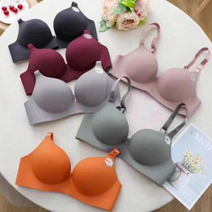 �羳���QС�r�չ���o�ۃ���С�ؾ۔n�o�Ȧ���m͸�ⱡ������