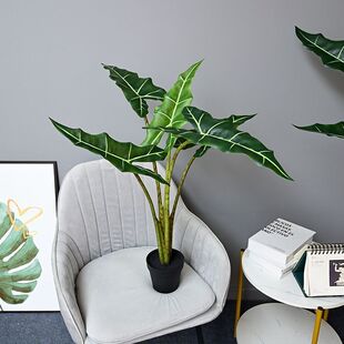 �_������������҃��^�~�Gֲ���m�M��ins�L�Gֲ�҃ȱ��W�Lֲ��