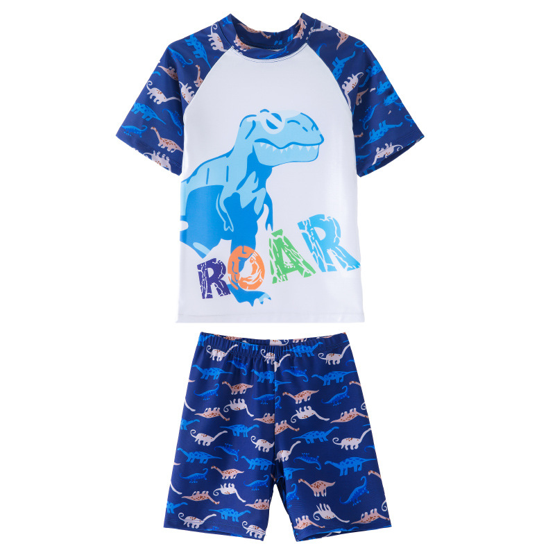 20분할 파란색과 흰색 공룡