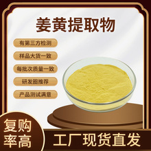 姜黄提取物20:1 姜黄素 食品原料着色剂 姜黄提取物粉 量大从优