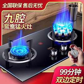 包邮阿拉好太太煤气灶双灶家用台嵌入式天然气燃气灶猛火炉液化气