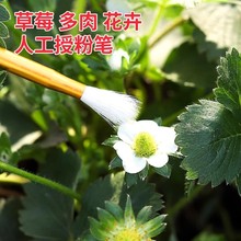 �˹��ڷ۹P�ڷ�����ݮ�������t���o�������ڷ۱؂仨���c���ڷ�ˢ