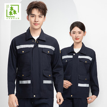 �ļ�ȫ�޷���ȼ���������b�L���з��ℂ�S늺���܇�g�͸ߜ؄ڱ���