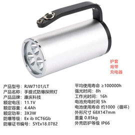 其他专用灯具;LED防爆手电;泛光灯