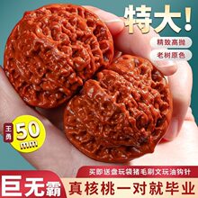 文玩核桃麒麟纹官帽野生核桃50-53盘玩白茬矮桩王勇