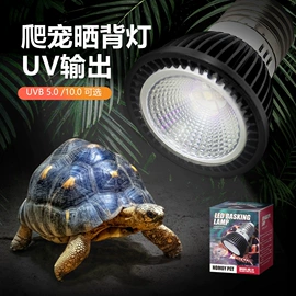 宠物周边用品;其他小宠用品;鱼缸