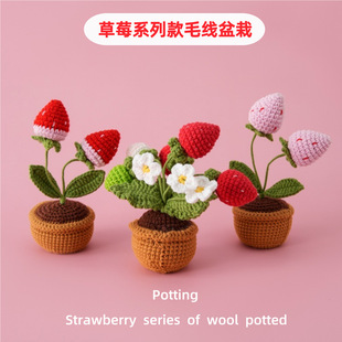 Shiduo Pear Wool Knitted Strawberry Series Wool Potted Planting Table Decorative Ornaments Berry Worry Handmade