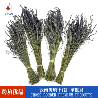 天然植物薰衣草干花花束香薰香包花束批发 跨境优质薰衣草亚马逊