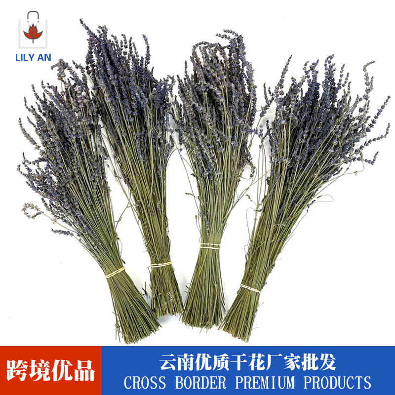天然植物薰衣草干花花束香薰香包花束批发 跨境优质薰衣草亚马逊