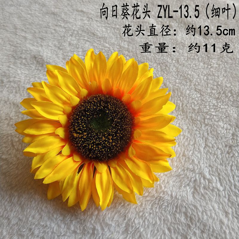 ZYL-13.5(细叶）_副本