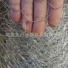 ���S����늏S������\�W ���ǾW �Q���W �B�u�W ����䓽z�W�F�z�W