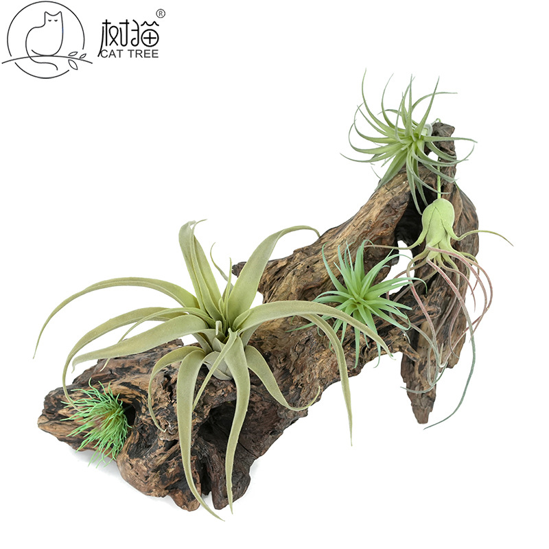 仿真花 植毛空气凤梨 假多肉植物空气草小吊藤墙面装饰老人须松萝