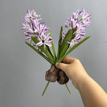 �羳�Gֲ�����L�������ԼҾ��b��~�L���Ӽٻ��L��������ˮ�ɻ�